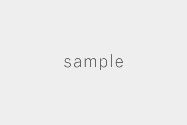 ここにサブ見出しが入ります。